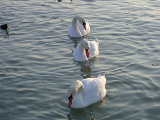 358301 (a): :1024x768